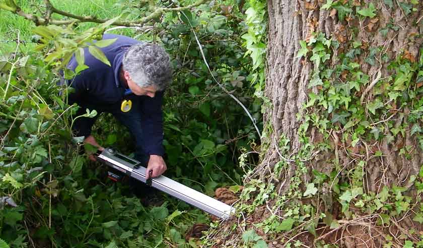 Testing with the Sonic Tomograph for tree decay